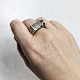 Męski srebrny Sygnet CRUSH